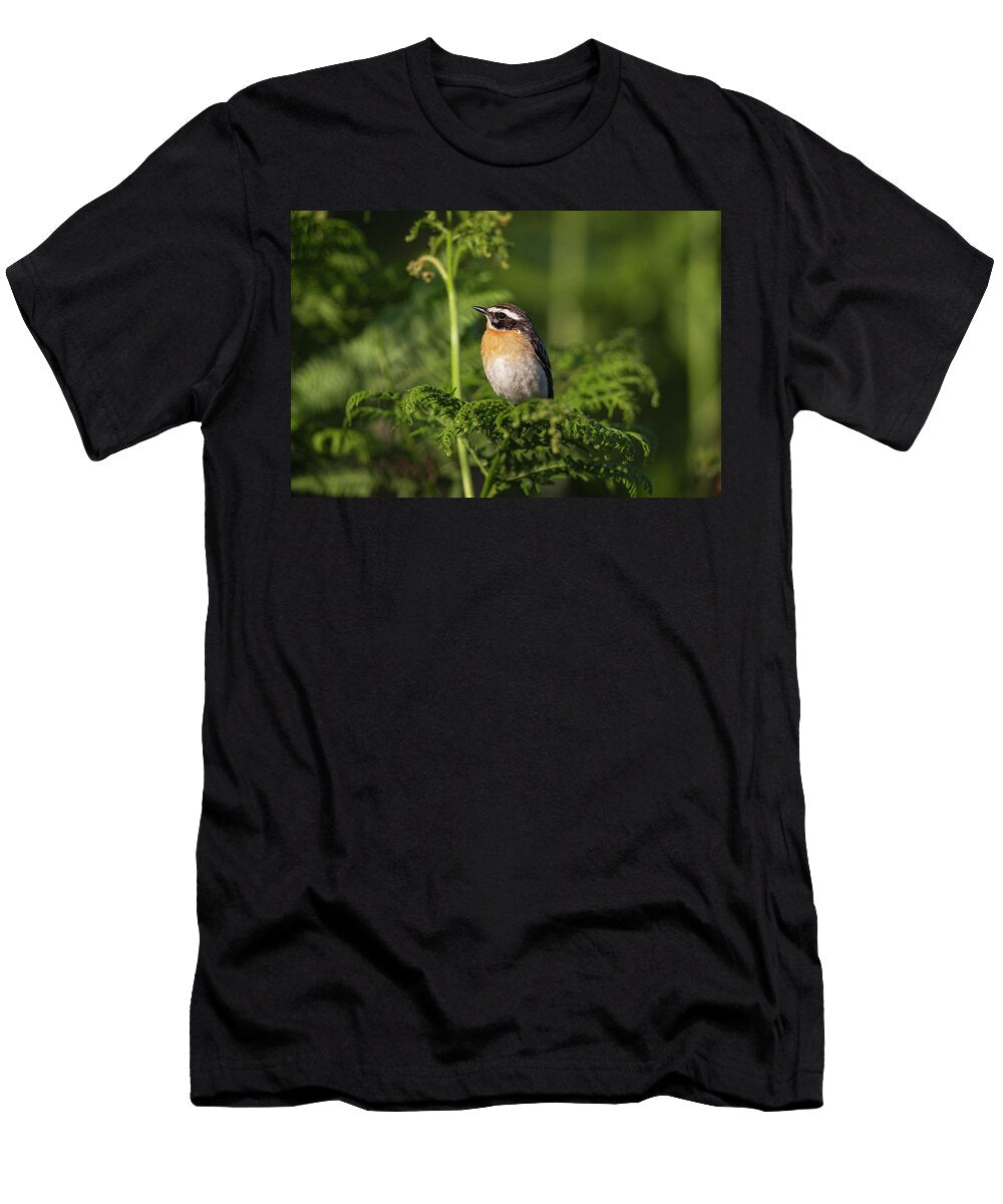 Whinchat Northumberland UK Ann Steve Toon Natureplcom T-Shirt