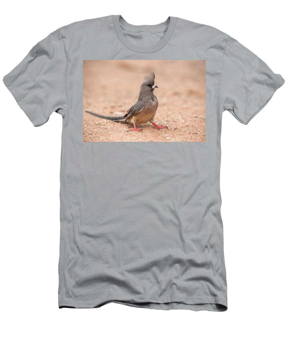 White Backed Mousebird Standing on Desert Floor Kgalagadi Ann Steve Toon Natureplcom T-Shirt