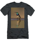 White Bellied Sunbird By Water Zimanga Private Game Ann Steve Toon Natureplcom T-Shirt