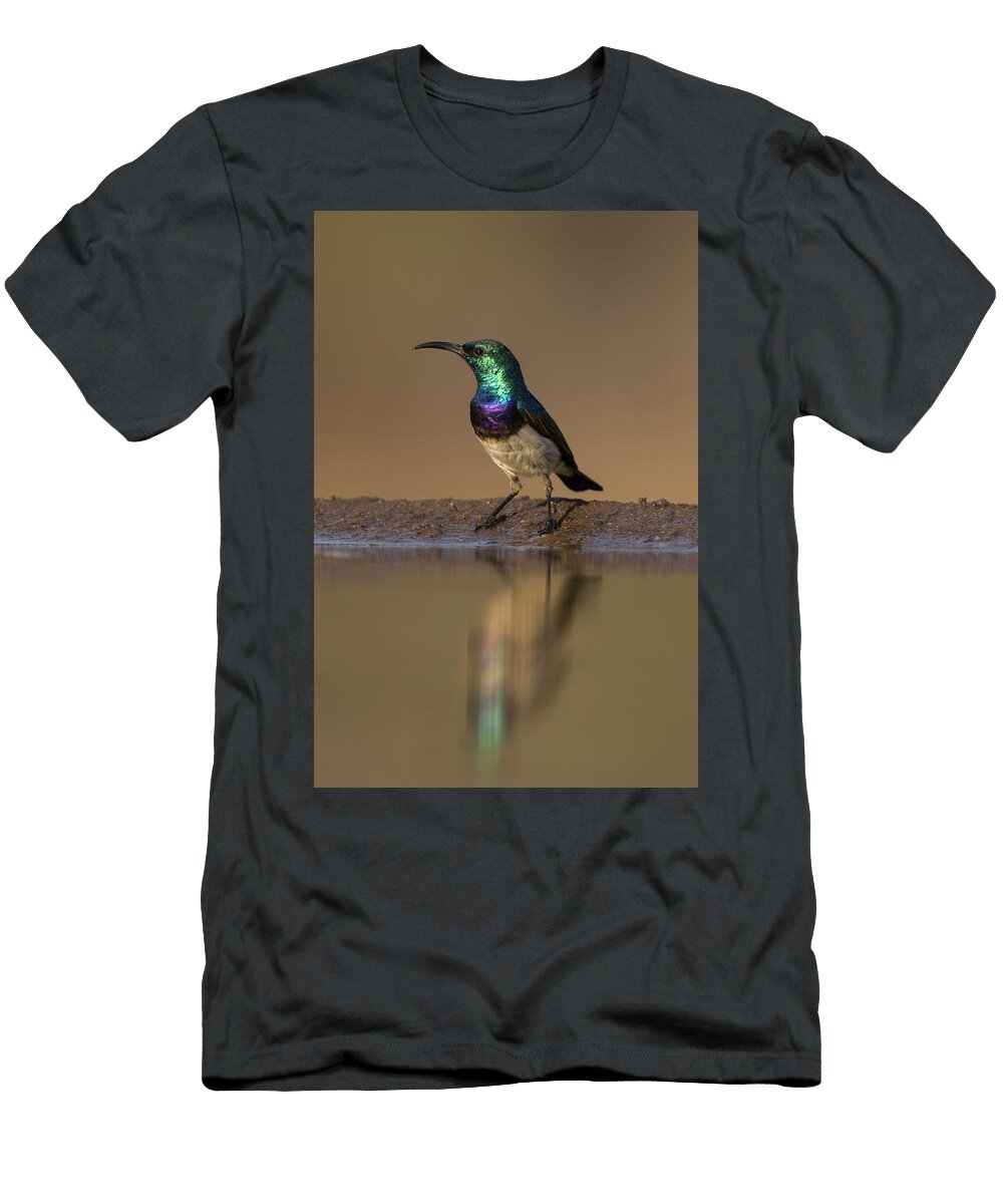 White Bellied Sunbird By Water Zimanga Private Game Ann Steve Toon Natureplcom T-Shirt
