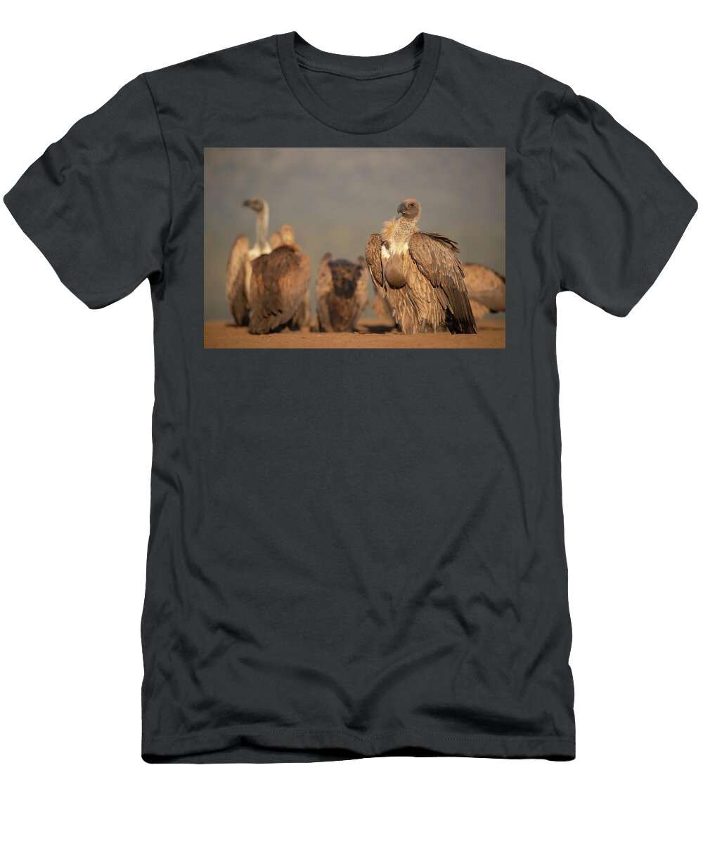 Whitebacked Vulture Flock Standing on the Ground Zimanga Ann Steve Toon Natureplcom T-Shirt