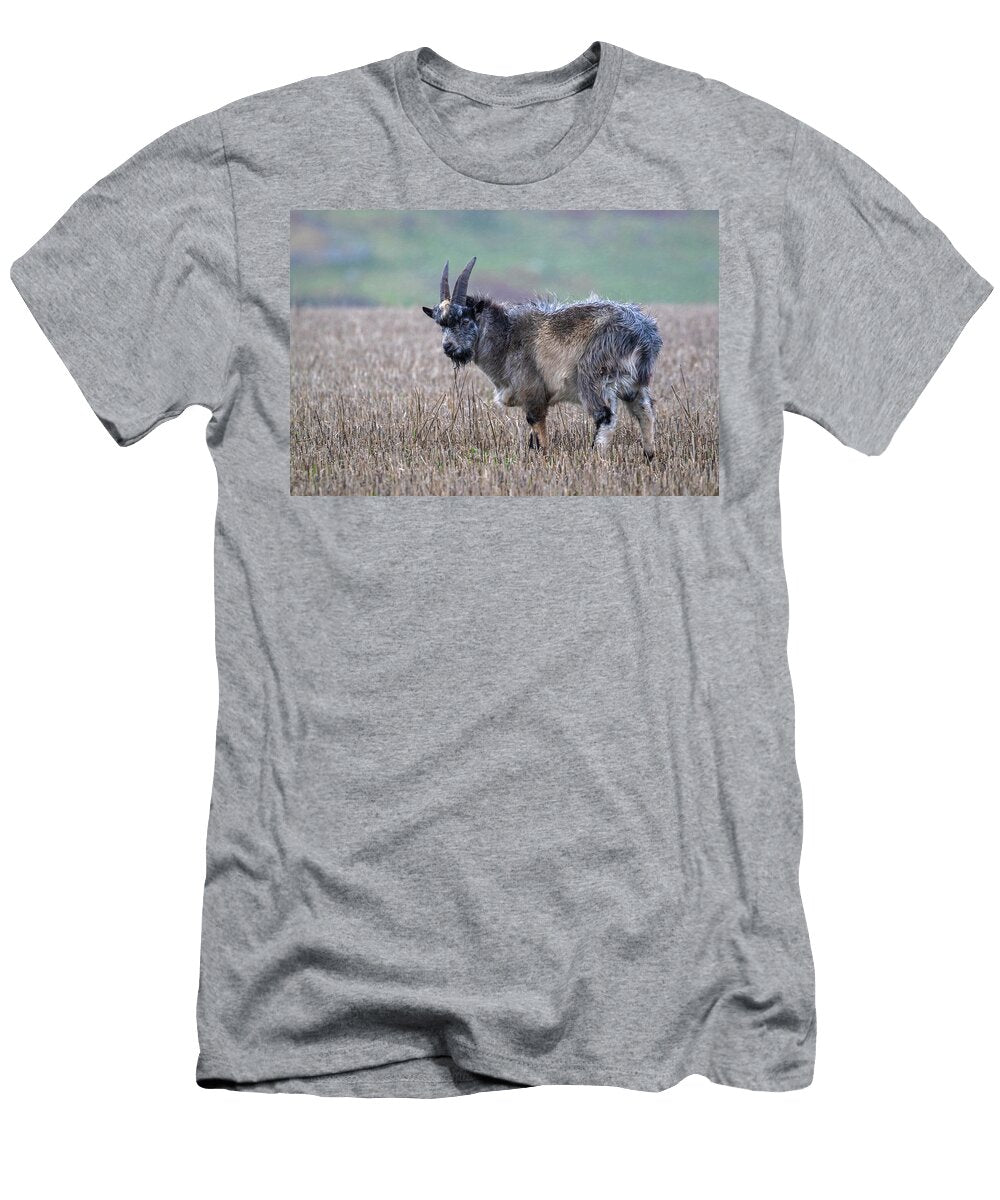 Wild Goat on Stubble Field Cheviot Hills Northumberland Ann Steve Toon Natureplcom T-Shirt