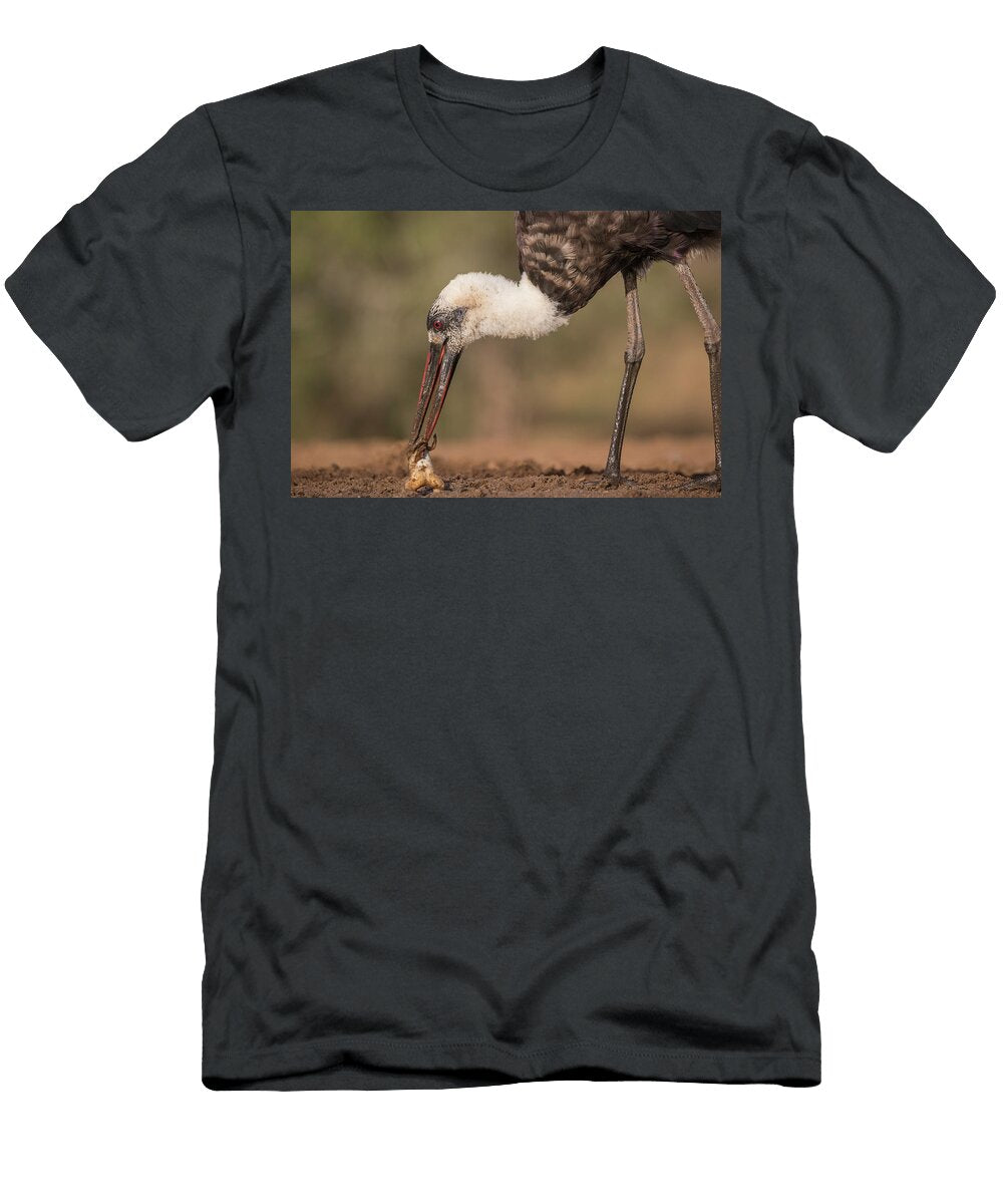Woolly Necked Stork with Frog Zimanga Private Game Ann Steve Toon Natureplcom T-Shirt