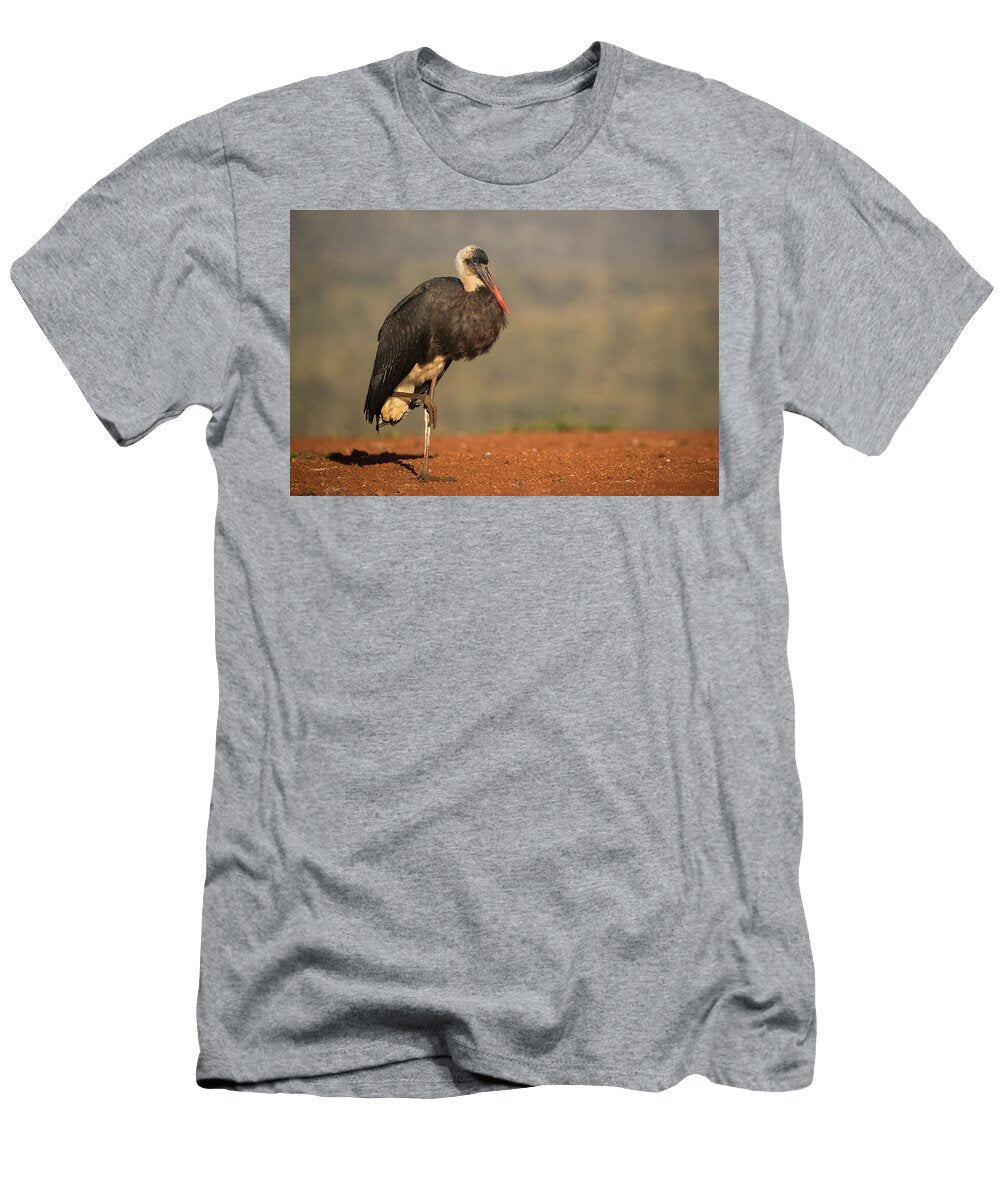 Woolly Necked Stork Zimanga Private Game Reserve Ann Steve Toon Natureplcom T-Shirt