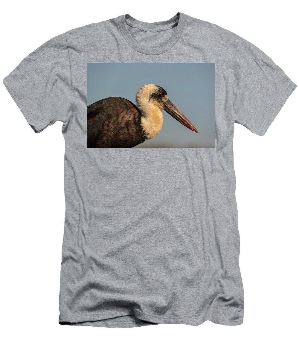 Woollynecked Stork Zimanga Private Game Reserve Ann Steve Toon Natureplcom T-Shirt