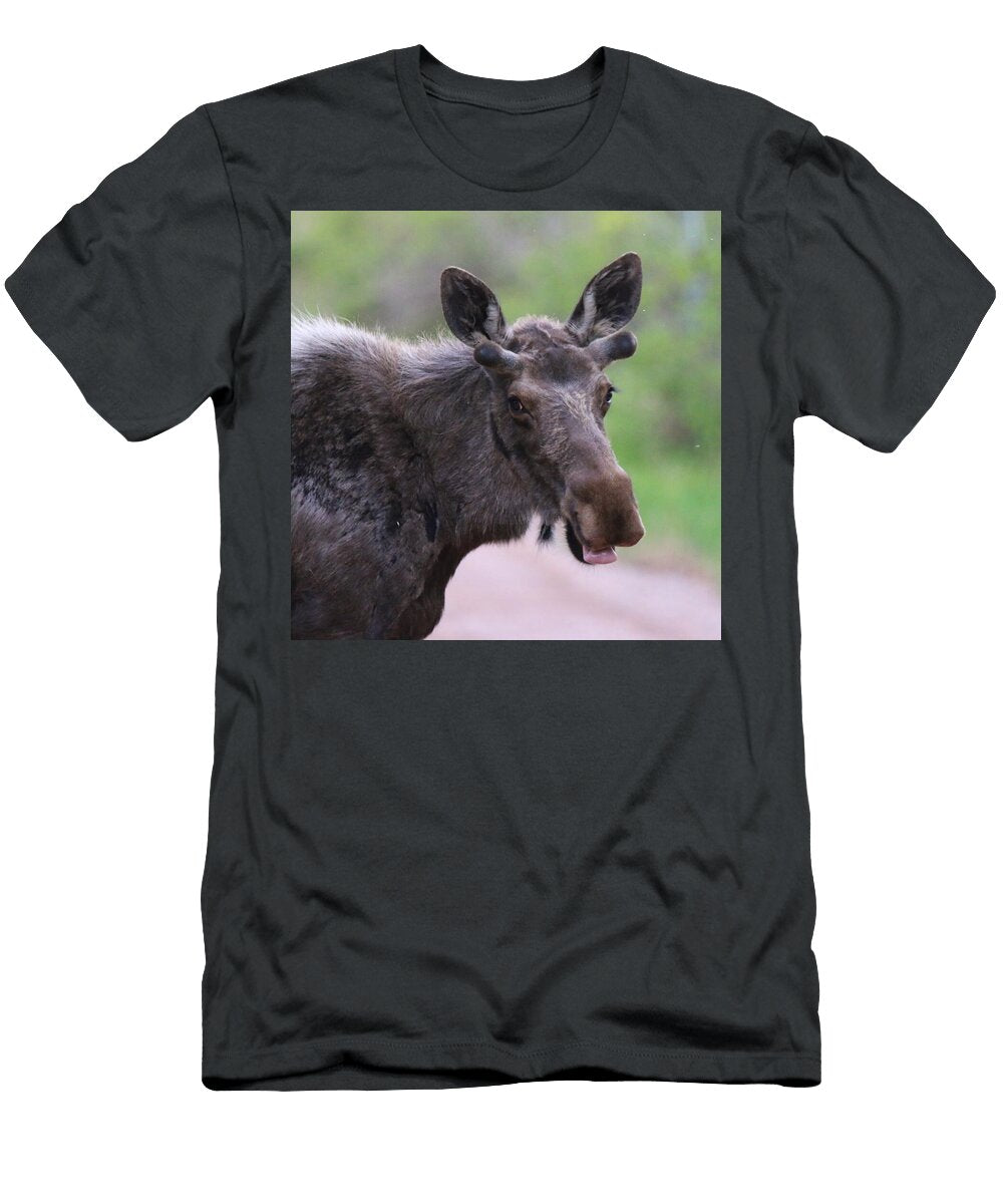 You Shall Not Pass Larry Kniskern T-Shirt