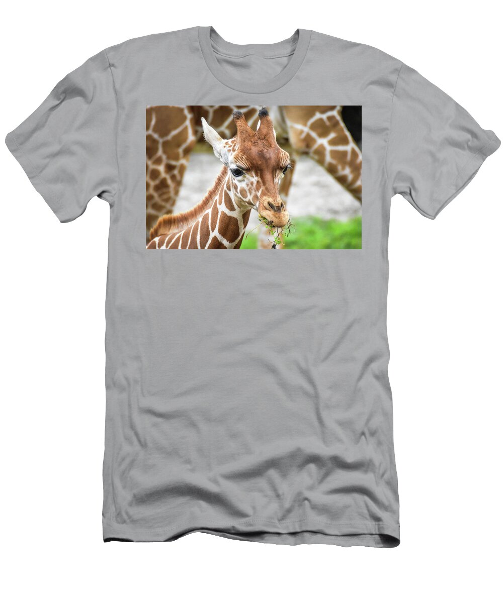Young Giraffe Captive Ed Stokes T-Shirt