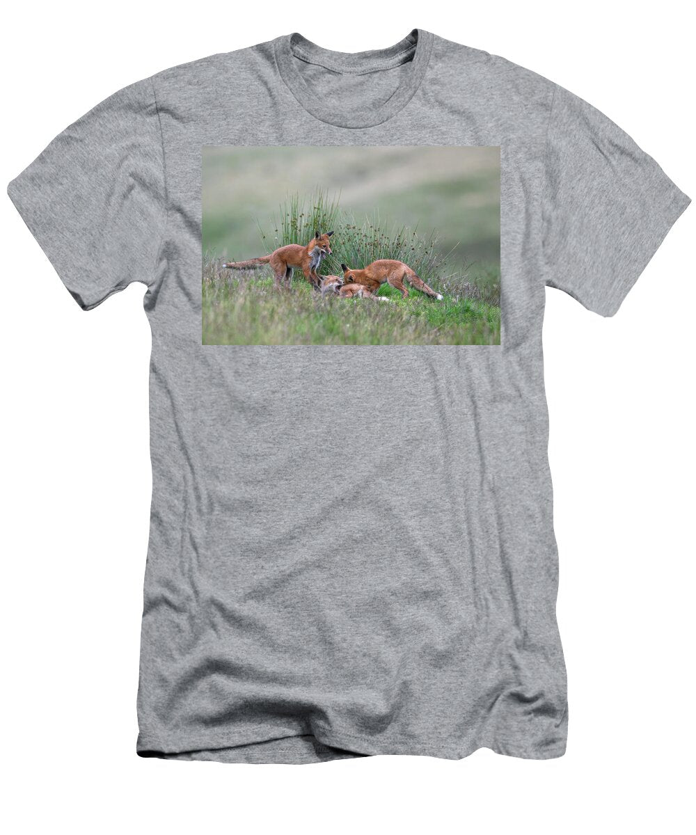 Young Red Foxes Playing Northumberland National Park UK Ann Steve Toon Natureplcom T-Shirt